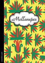 Mollanepes (Kitabyň suraty)